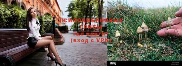 дмт Аркадак