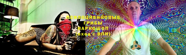 дмт Аркадак