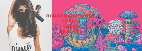 ПСИЛОЦИБИНОВЫЕ ГРИБЫ Армянск