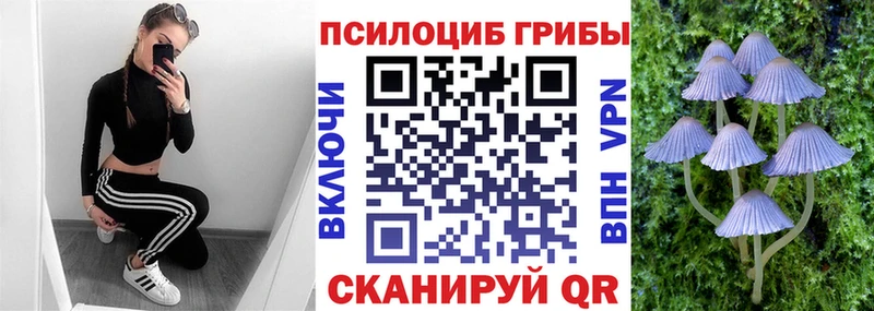blacksprut как зайти  Белебей  Псилоцибиновые грибы прущие грибы 